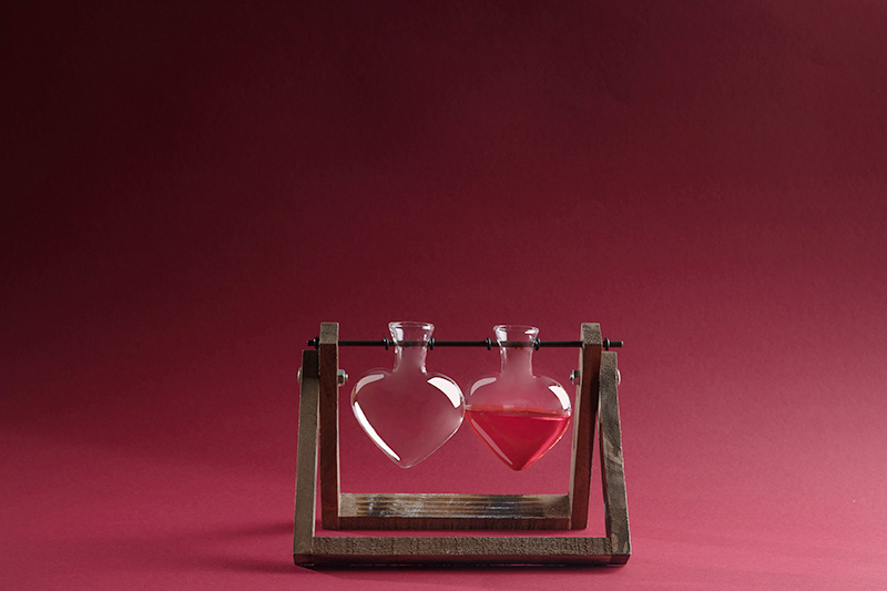 la quimica del amor