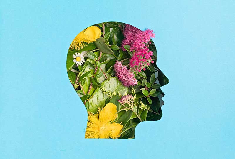 psicologia del bienestar sostenible