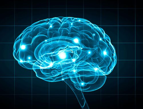 Cómo tu cerebro se reorganiza para hacer multitarea real