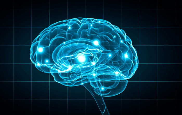 cerebro
