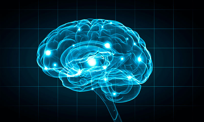 cerebro
